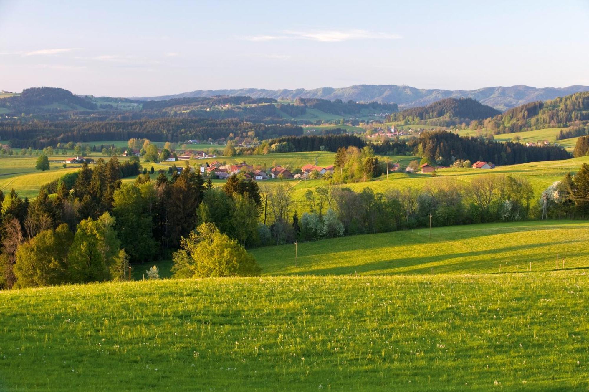 Allgaeu-Glueck Gruenenbach Grunenbach المظهر الخارجي الصورة